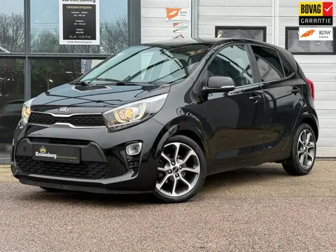 Kia Picanto 1.0 CVVT Design Edition, CARPLAY, CAMERA, NAP