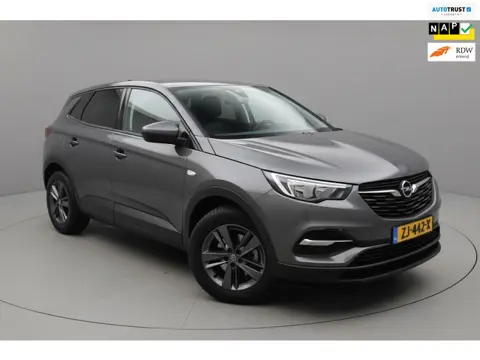 Opel Grandland X 120 Jaar Edition|Clima|Carplay|