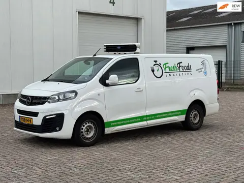 Opel Vivaro 2.0 CDTI L2H1 Edition / KOELWAGEN