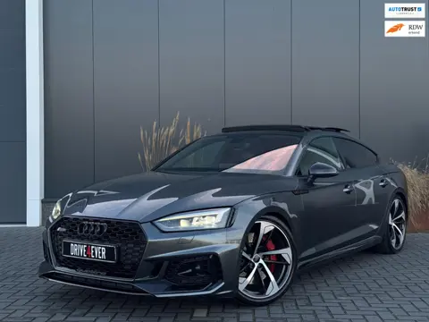 Audi RS5 Sportback 2.9 TFSI RS 5 quattro FULL PANO|LEDER|CLIMATE|ELEK PAKKET
