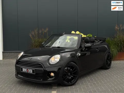 Mini Cabrio 1.2 One Chili Business LEDER|LED|PDC|CLIMATE|SPORTVELGEN