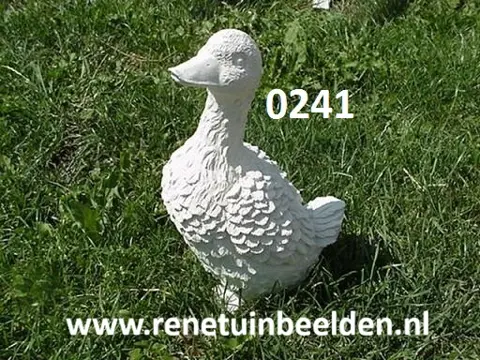 Gans.
