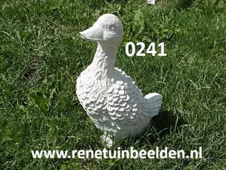 Gans.