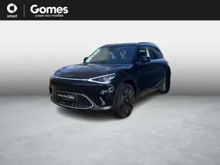 smart #1 Premium 66 kWh