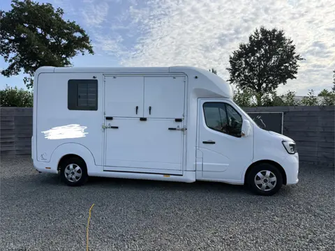 Renault Master | HORSETRUCK | STX | STALLION 3XL | 2021 | HENGST | AUTOMAAT | 180 PK | 103.765KM | 3