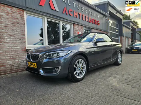 BMW 2-serie Cabrio 218i Executive Automaat! NAP! Leer! Airco/Clima! Cruise Control! Leuke Auto!