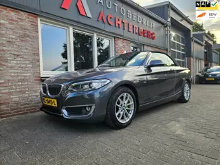 BMW 2-serie Cabrio 218i Executive Automaat! NAP! Leer! Airco/Clima! Cruise Control! Leuke Auto!