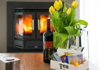 TEXEL Bungalows met open haard jacuzzi direct aan dennenbos.