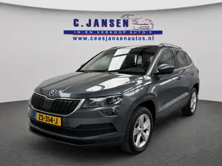 Škoda Karoq 1.0 TSI Ambition Business Aut. MOOIE AUTO !!