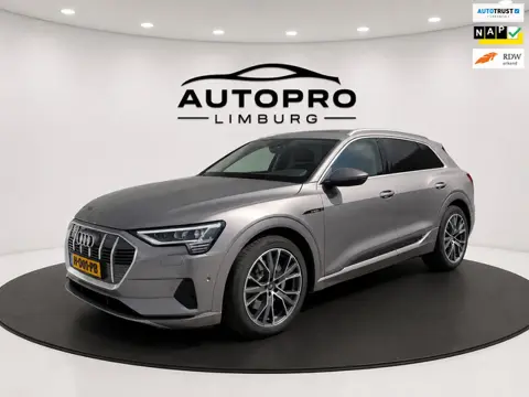 Audi E-tron E-tron 50 quattro Launch edition plus 71 kWh