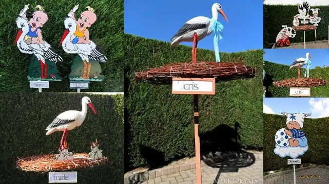 Geboorte ooievaar / geboortebord huren goedkoopst