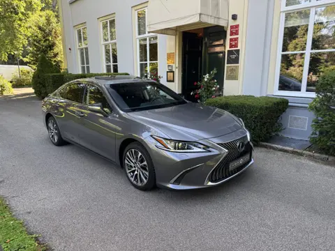 Lexus ES 300h Preference Line Business (bj 2021, automaat)