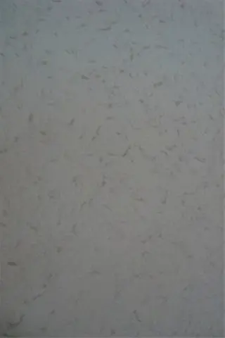 Oprui8.95ming uitverkoop behang 074