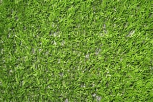 Sunspa Tynaarlo: kunstgras voor uw tuin en/of romdom Jacuzzi