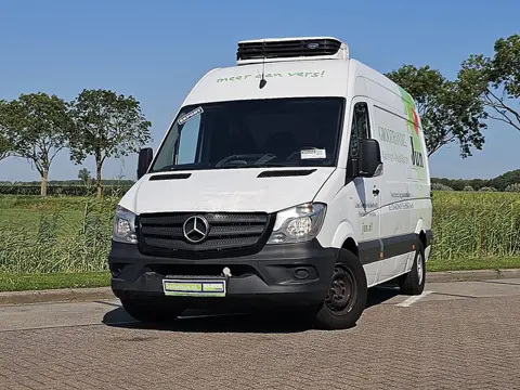 MERCEDES-BENZ SPRINTER 313 carrier koeling