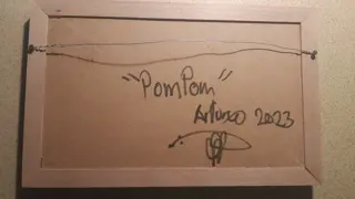 arturo - POMPOM