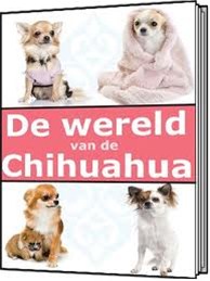 De wereld van de Chihuahua.