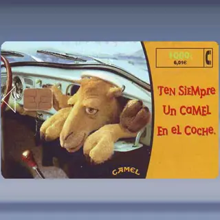 Camel (1) (1999)