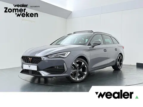 CUPRA Leon Sportstourer 1.4 e-Hybrid Business | 204 PK | SoH 100% | Adaptive Cruise Control | Panora