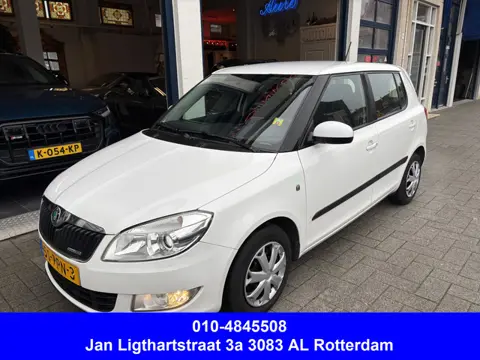Škoda Fabia 1.2 TDI Greenline 1 EIGENAAR/NW APK 1-2027