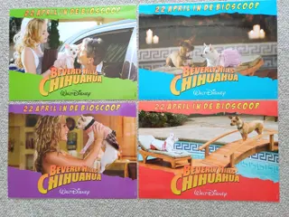 BEVERLY HILLS CHIHUAHUA NED. lobbycard set.