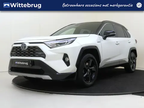 Toyota RAV4 2.5 Hybrid Bi-Tone (bj 2019, automaat)