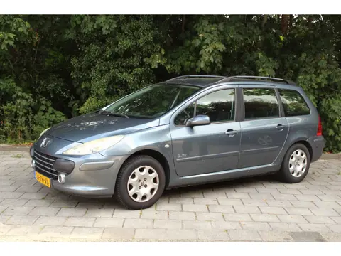 Peugeot 307 Break 1.6-16V Oxygo Nog een prima auto!!!!!