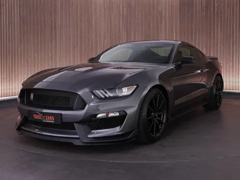 Ford Mustang Shelby GT350 5.2 533pk V8 |clean Carfax|volledige documentatie|Apple Carplay|stoelventi