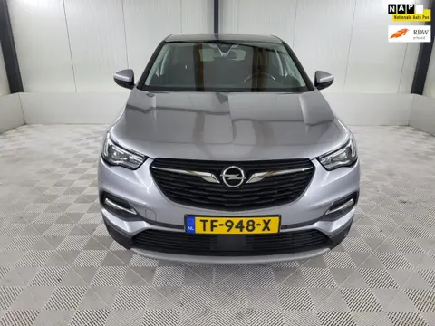 Opel Grandland X 1.2 Turbo Business Executive, Carplay, Trekhaak