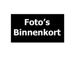 Fiat 500 E 24kwh (bj 2014, automaat)
