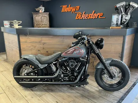 Harley Davidson FLS Softail Slim Custom Special Paint Custom Rear 200