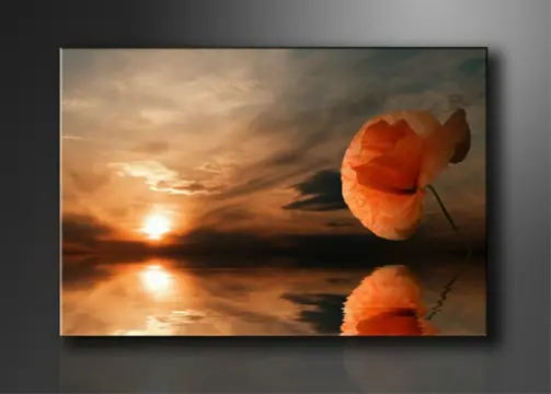 Nieuw canvas schilderij Zonsondergang Bloem 120 x 80 cm
