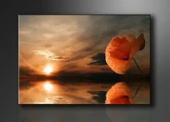 Nieuw canvas schilderij Zonsondergang Bloem 120 x 80 cm