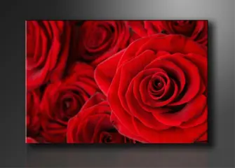 Nieuw canvas schilderij Rode Rozen 120 x 80 cm