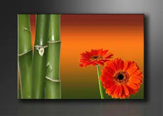 Nieuw canvas schilderij Bamboe Bloem 120 x 80 cm