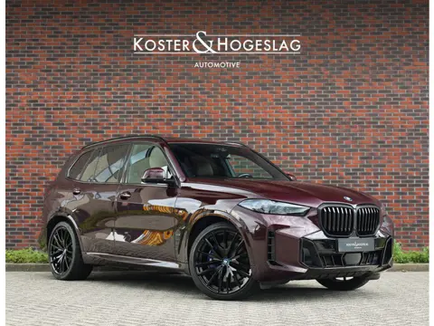 BMW X5 50e xDrive | Individual - Skylounge - Trekhaak