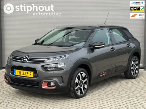 Citroen C4 Cactus 1.2 PureTech Shine | Distr. riem verv. | Dealer ond. | Trekhaak | Navi | All seaso