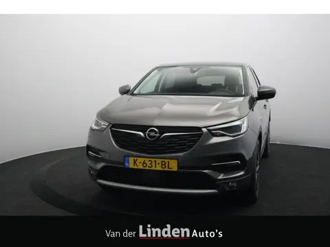 Opel Grandland X 1.6 Turbo Hybrid Business Executive | Trekhaak | 4X CrossClimate Nieuw | Camera | N