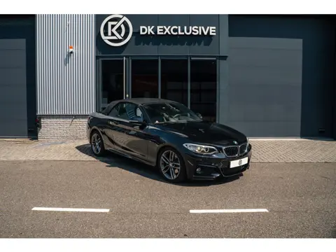 BMW 2-serie Cabrio 220i Centennial High Executive