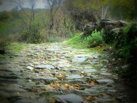 Vakantie naar Andalusie voorjaar,mei, juni