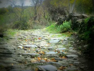 Vakantie naar Andalusie voorjaar,mei, juni