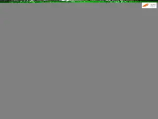 Nissan Micra 1.2 Acenta