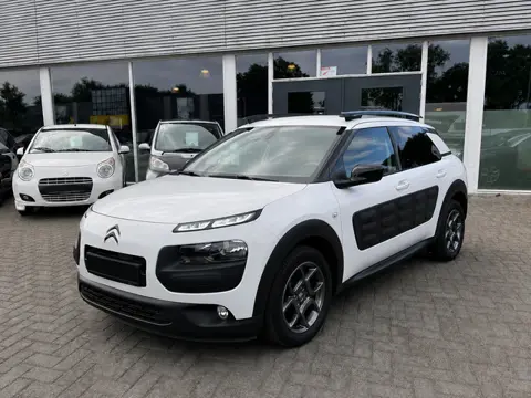 Citroen C4 Cactus 1.2 Turbo Business Plus/Panodak/Navigatie/Lichtmetaal/Dealer onderhouden!!!