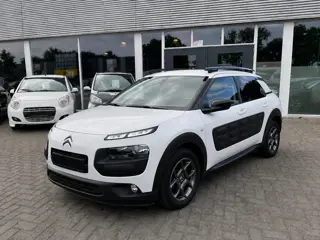 Citroen C4 Cactus 1.2 Turbo Business Plus/Panodak/Navigatie/Lichtmetaal/Dealer onderhouden!!!