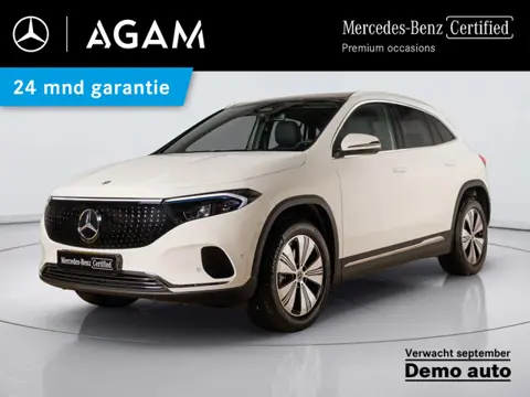 Mercedes-Benz EQA 250+ Business Solution 71 kWh | Panorama dak