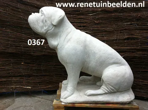 Bordo dog hond. nr 0367.