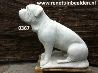 Bordo dog hond. nr 0367.