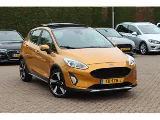 Ford Fiesta 1.0 EcoBoost Active First Edition Panoramadak / Parkeerhulp achter / Navigatie / DAB / A