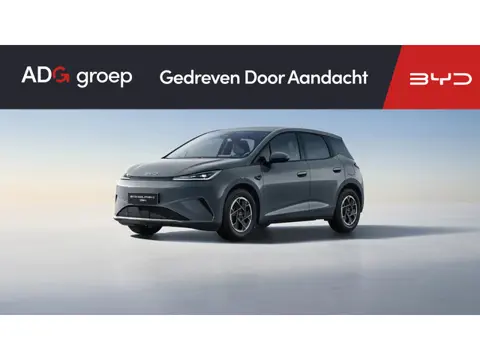 BYD DOLPHIN G DM-i Boost NIEUW/ 1040 KM / Time Grey / 105 EV / Android Auto en Apple Carplay