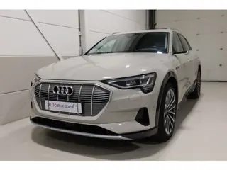 Audi e-tron e-tron 55 quattro advanced Pro Line Plus 95 kWh I Siambeige I Virtual Mirrors I Full opt